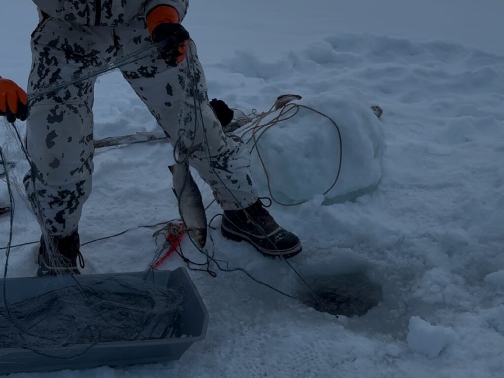 Trapper Safari By Snowmobile Ivalo screenshot