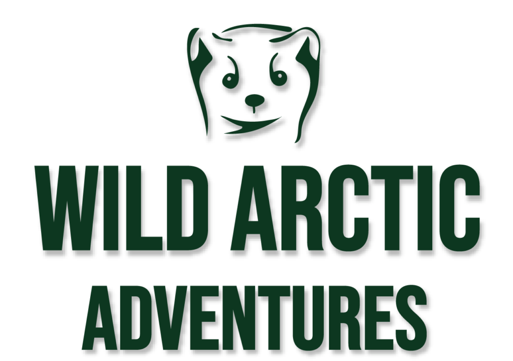 arctic nils
